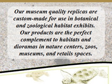 Our museum quality replicas are custom-made for use in botanical and zoological habitat exhibits