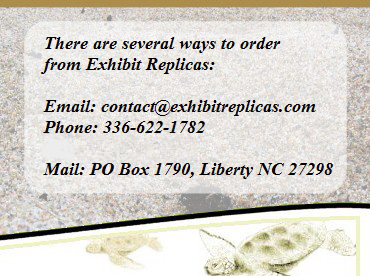 Contact Exhibit Replicas to place your order for crustacean, animal, fish or bird replicas