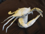 Crab and Lobster Replicas